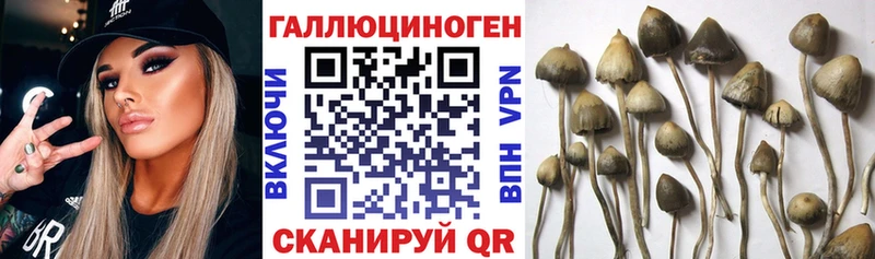 Галлюциногенные грибы прущие грибы  купить наркоту  kraken зеркало  Чишмы 